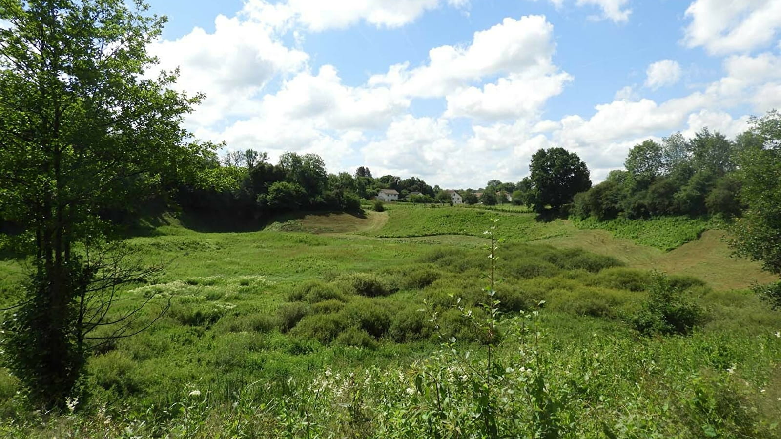 Marais de Saône