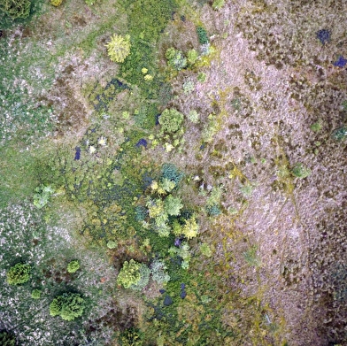 40 ans de la Réserve Naturelle Régionale des Tourbières de Frasne