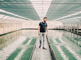 Les Bassins Fermiers  - FONTAIN