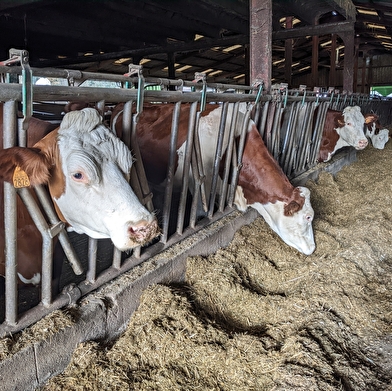 Visites de la Ferme du Puy de la Velle (Spiruline du Doubs)
