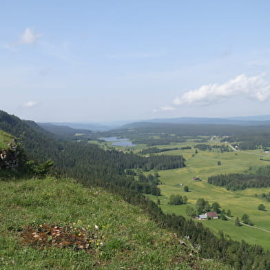 Belvédère - Roche Champion et Roche Bernard