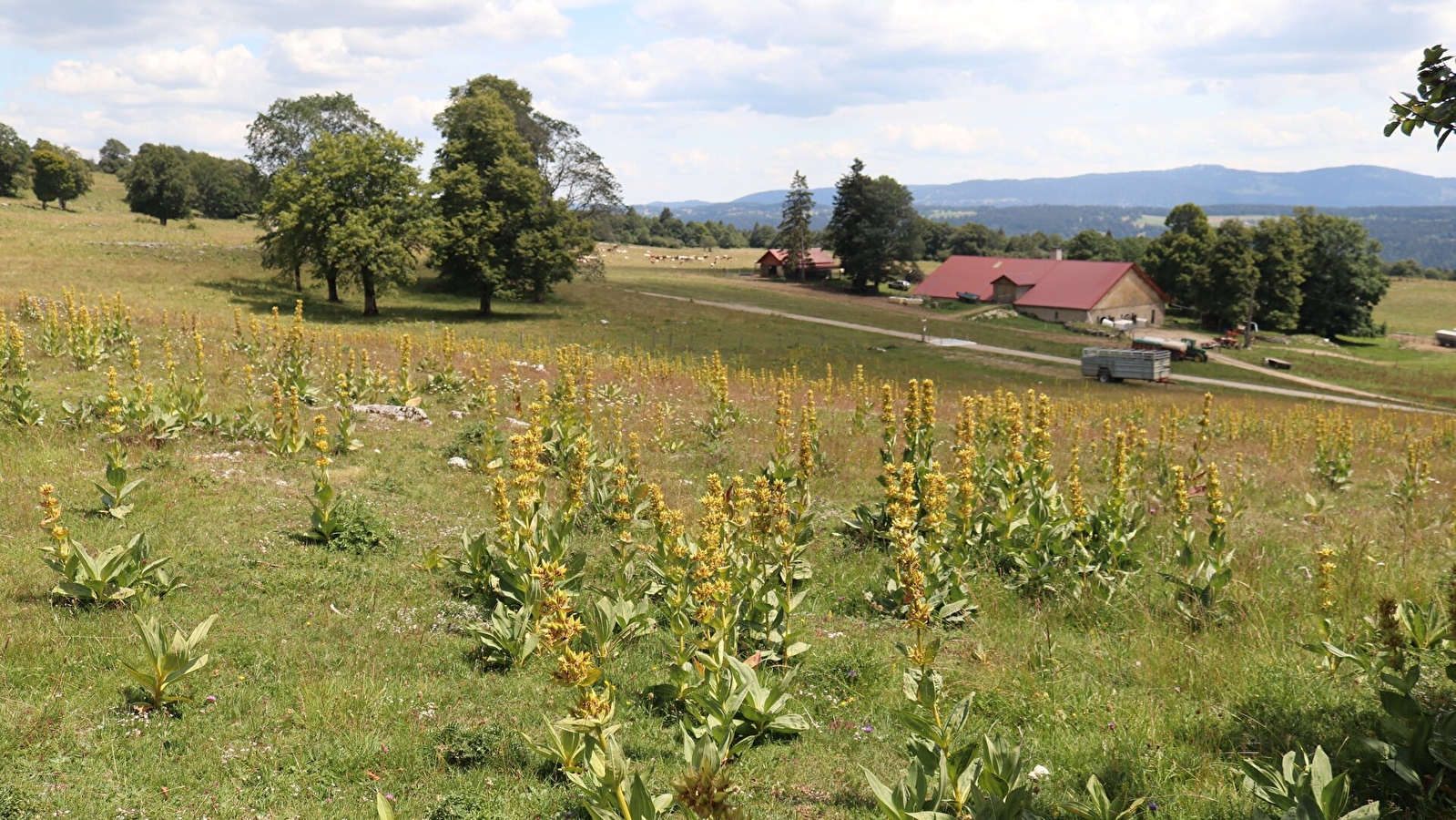 Point de vue du Grand Taureau