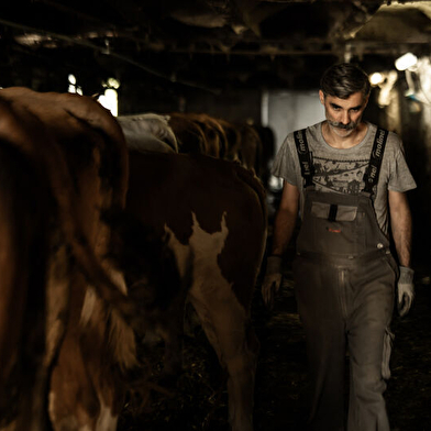 La Ferme des Louisots