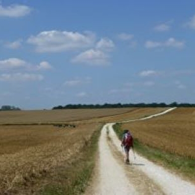 Association Franc-Comtoise du Chemin de Compostelle
