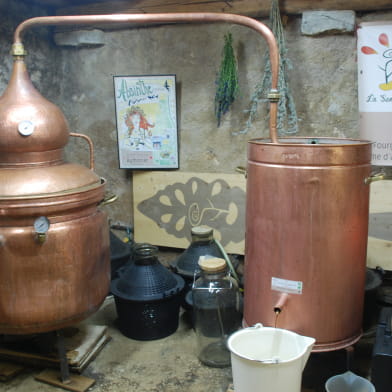 La Semilla - Distillerie Aymonier