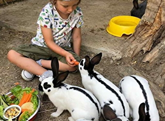 Ferme aux lamas - animations animalières pour les enfants - MAMIROLLE
