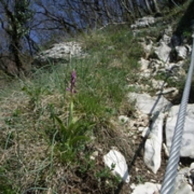 Via Ferrata Baumes du Verneau