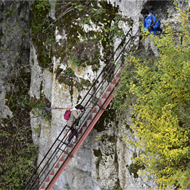 Chantier d'automne • Un chantier perché !