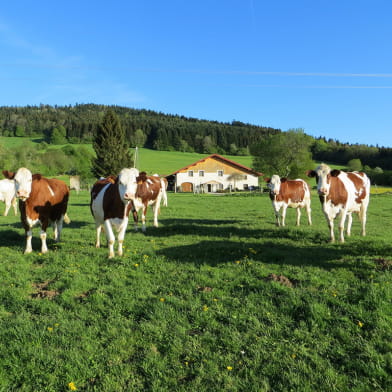 La Ferme du Bonheur