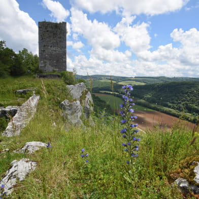 Montferrand-Le-Château