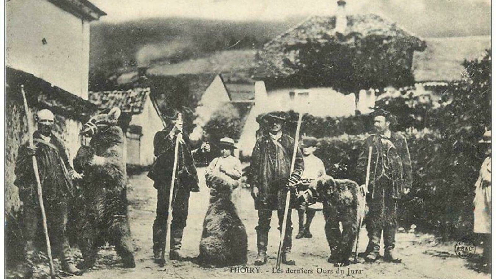 Les Gîtes de l'Orée du Bois - L’ours