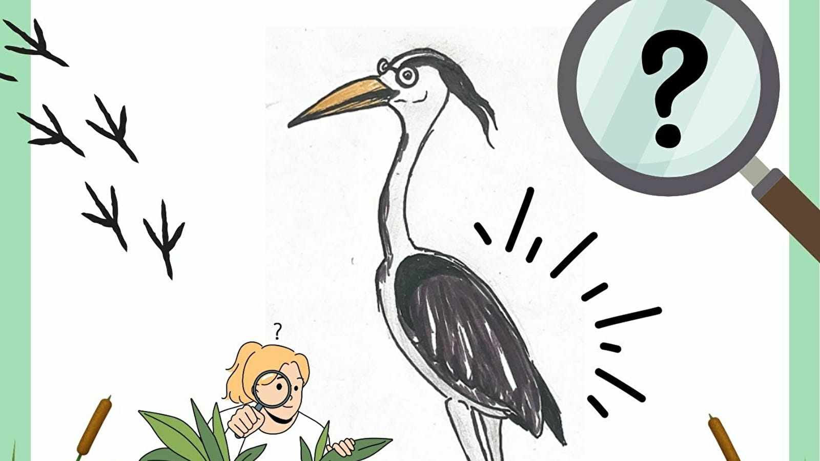 Jeu Rallye de la Biodiversité