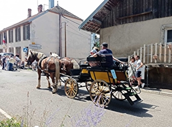 Balade en Calèche - Mors Attelage - MORRE