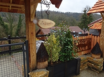 Les Hirondelles - LES PREMIERS SAPINS