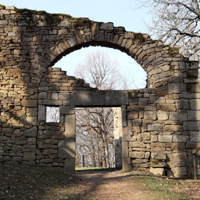 Château médiéval de Montfaucon