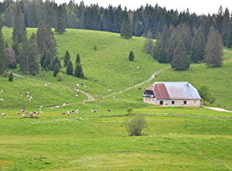 ENS - Le Pré-Bois des Bâties - MOUTHE