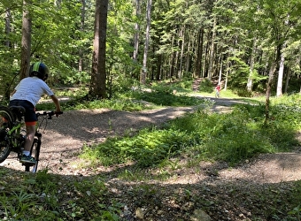 Station de Loisirs de la Combe Saint-Pierre - Bike park - CHARQUEMONT