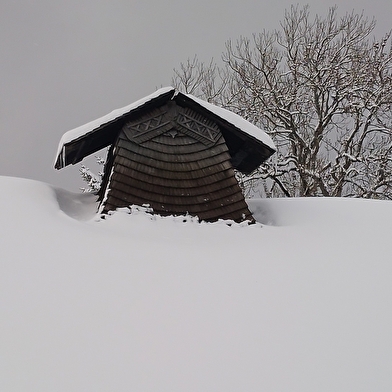 Veillée Mots et Papilles