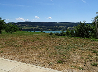 La Ferme du Lac - LES GRANGETTES