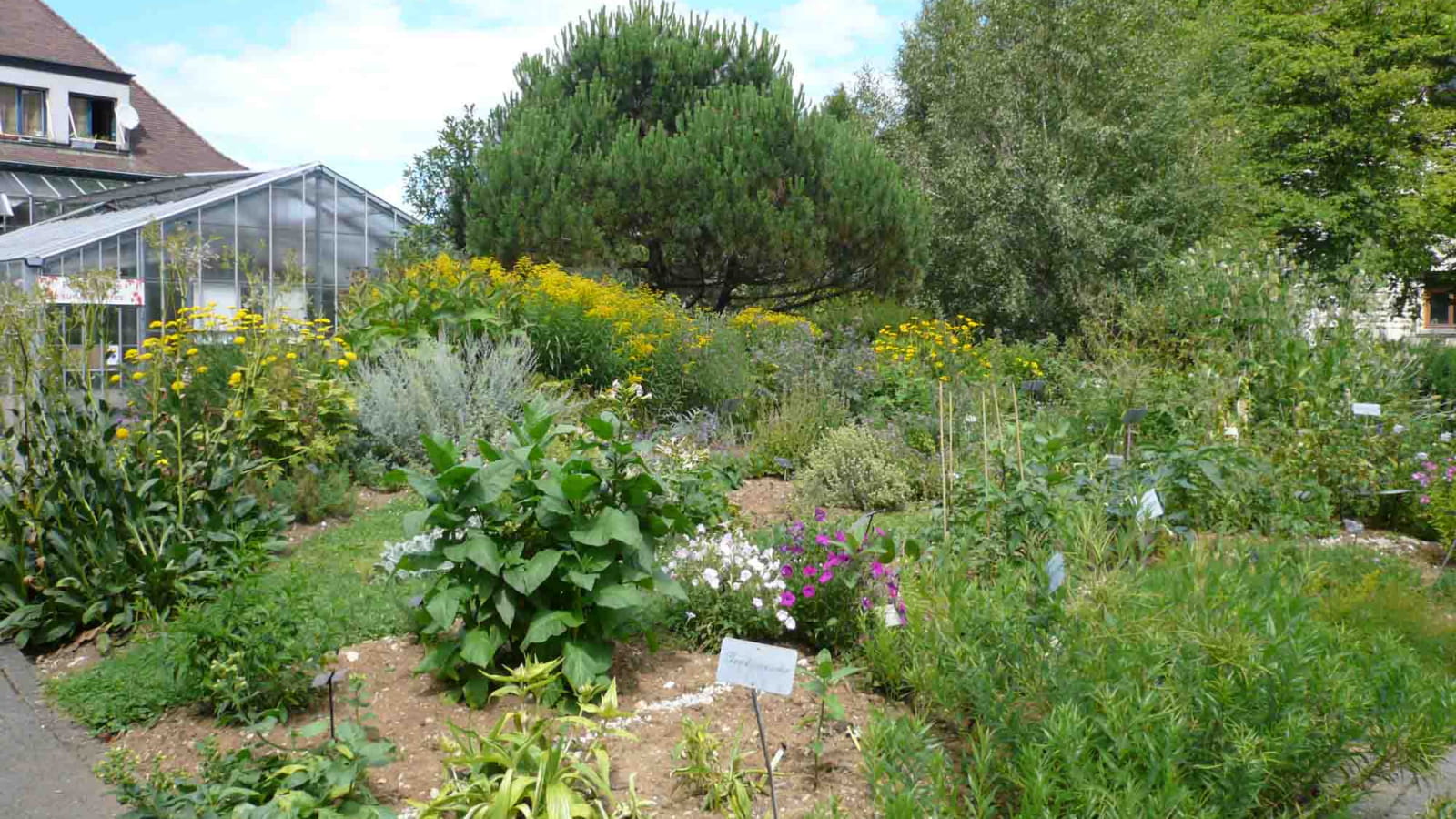 Le Jardin botanique