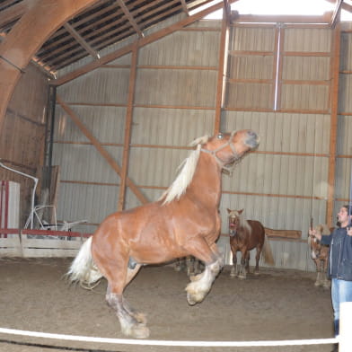 La Ferme des Comtois