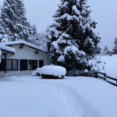 Chalet - Dominique Piccarreta