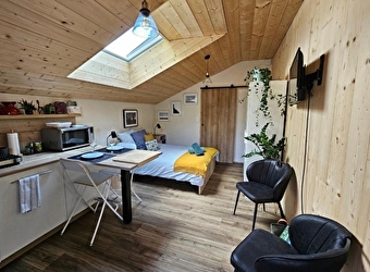 Sous le Saule - LES PREMIERS SAPINS