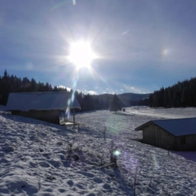 Chalet Chez Liadet - Edelweiss