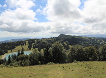 Le Morond - METABIEF