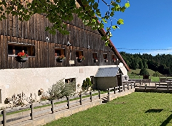 Auberge du Vieux Châteleu - Au Coeur des Rêves - GRAND'COMBE-CHATELEU