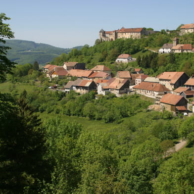 Le château de Belvoir