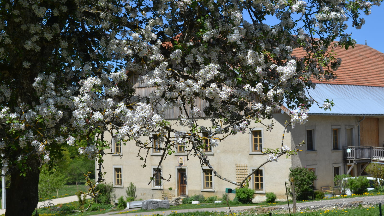 Appartement - La Grange des Sapins