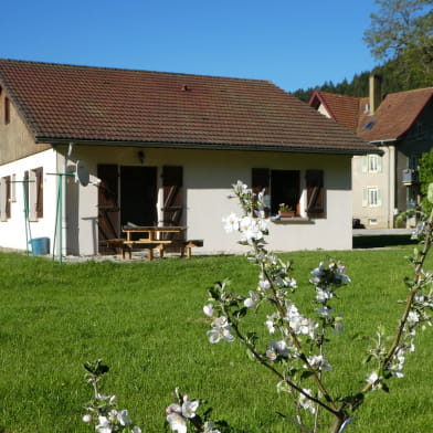 Gîte 'Sous la Vie du Bois'