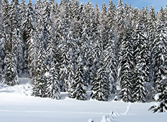 Site Nordique de La Cernay Blanche - LA CHAUX