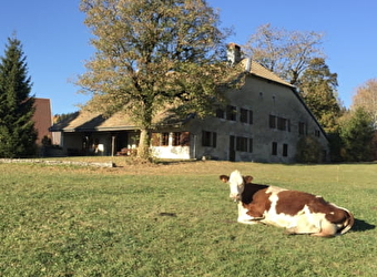 L'Annexe du Haut-Doubs - LES HOPITAUX-VIEUX