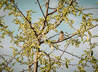Parcours Espace Naturel Sensible - Saline royale - ARC-ET-SENANS