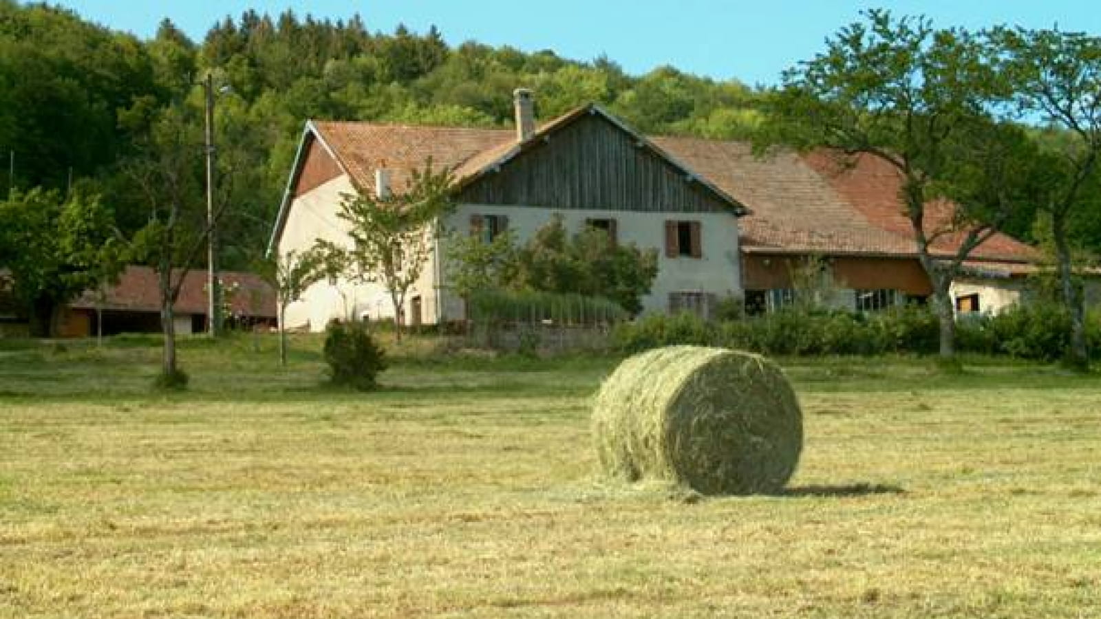 Chambres d'hôtes le Bleumont