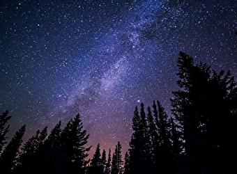 Rando raquettes nocturne : sur les traces des prédateurs sous les étoiles - METABIEF