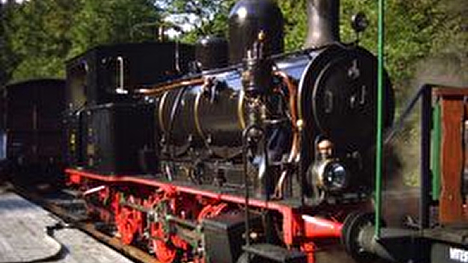 Sortie en petit train de cet automne - le coni'fer