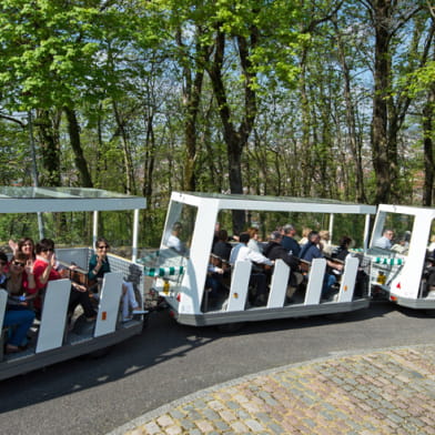Petit train touristique de Besançon