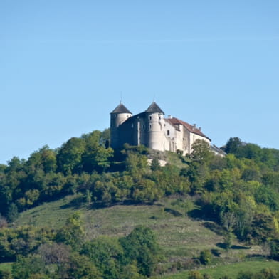 Château de Belvoir