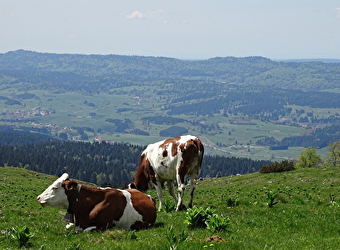 Office de Tourisme du Pays du Haut-Doubs - METABIEF