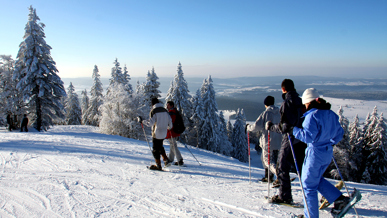 Balade raquettes familles : la forêt dans tous ses états