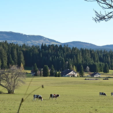 Appartement - Le Pré-Suisse