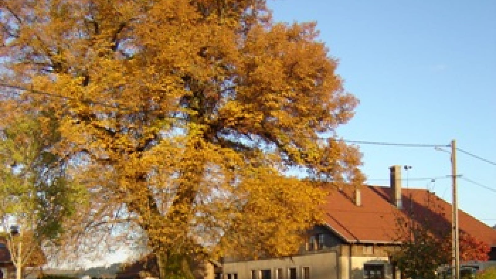 Gîte en Ferme Comtoise
