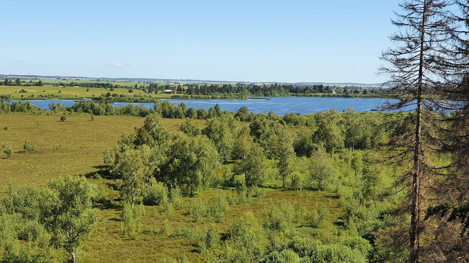 Sortie nature - Les mystères du lac de Bouverans et du Drugeon