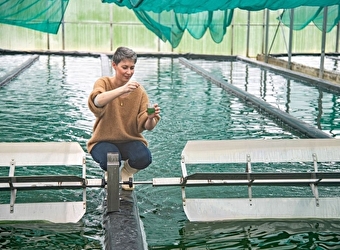 La Spiruline du Doubs - VILLERS-SAINT-MARTIN