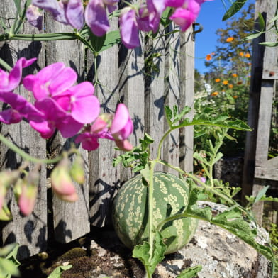 Rendez-vous au jardin