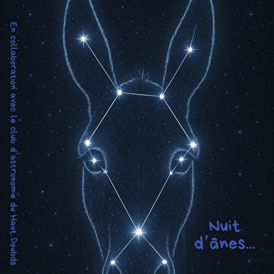 Nuit d'ânes et d'étoiles