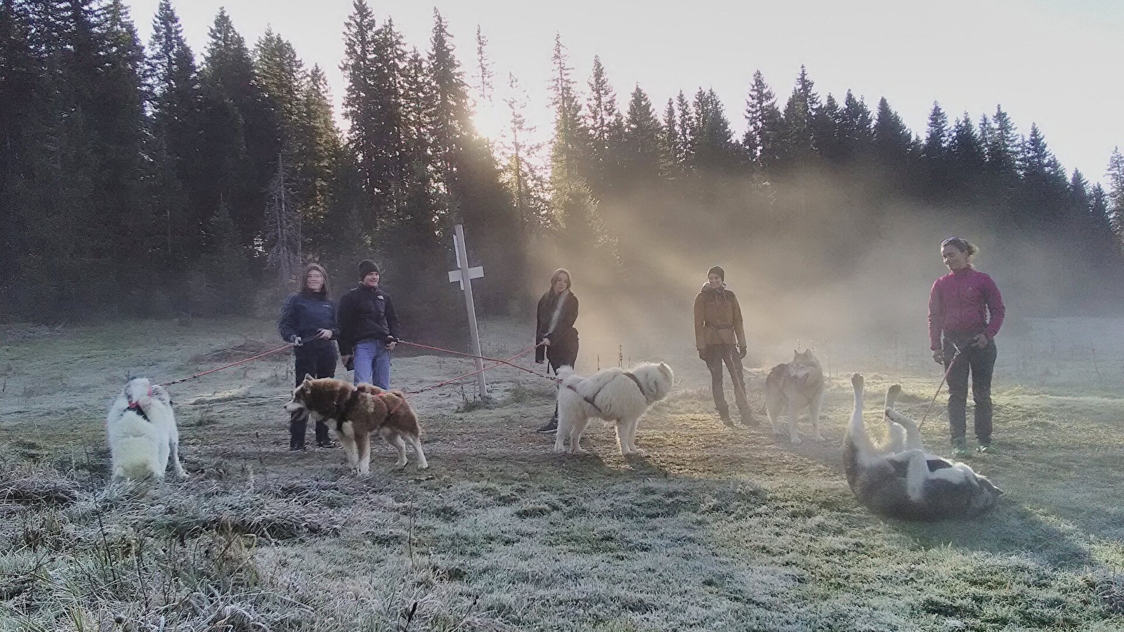 Les Équipages Adam's